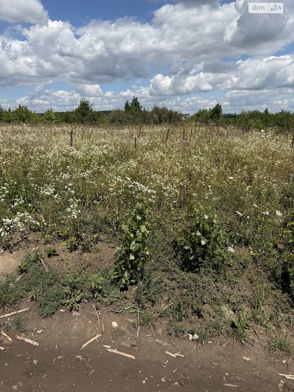 Продаж Ділянка під житлову забудову