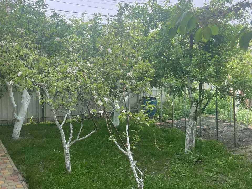 Будинок. Вишгород, вулиця Садова