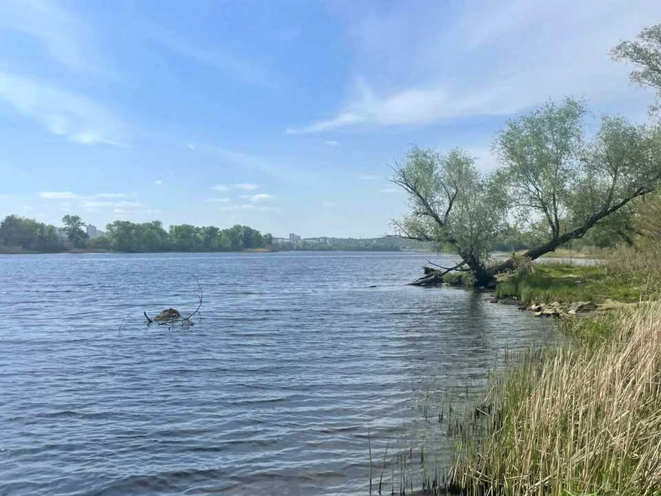 Будинок. Вишгород, вулиця Садова
