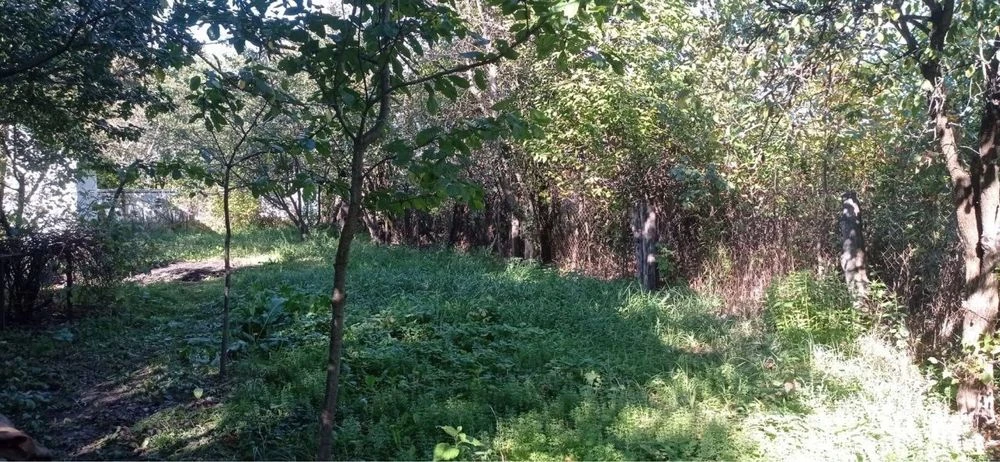 Дача в с.Ясногородка 0.1Га в зоні заповідника