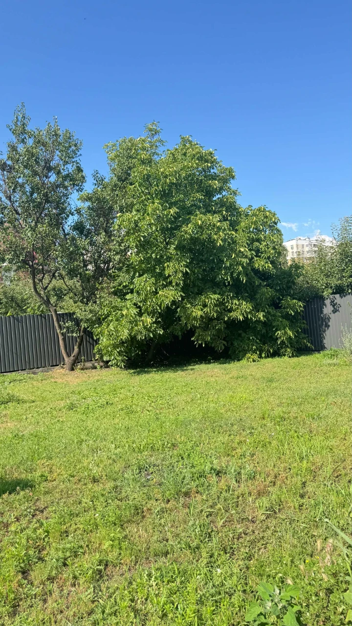 Новий будинок преміумкласу у Вищгороді | Дідовиця
