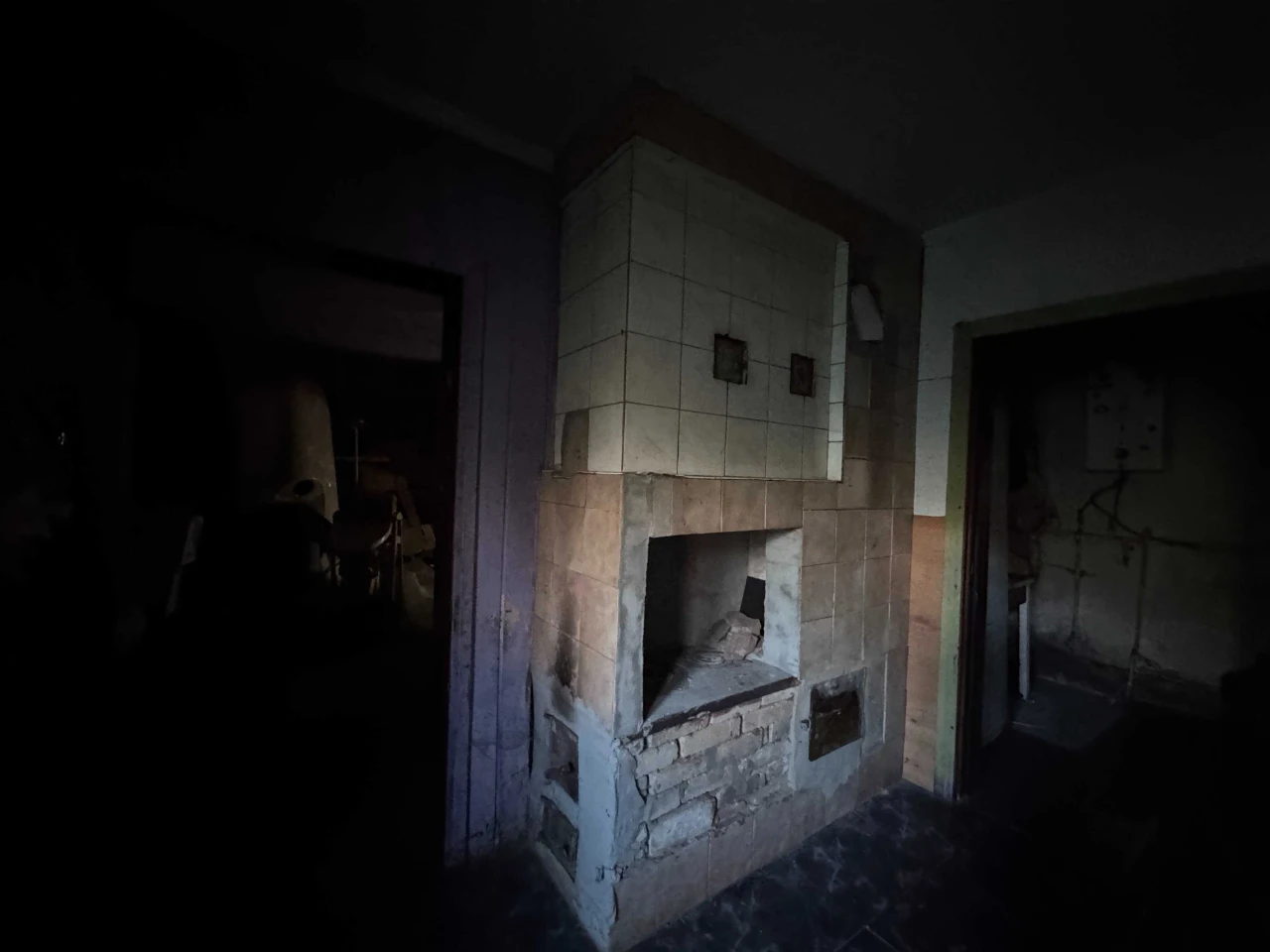 Двоповерховий будинок біля лісу з гаражем, підвалом. Мінімал