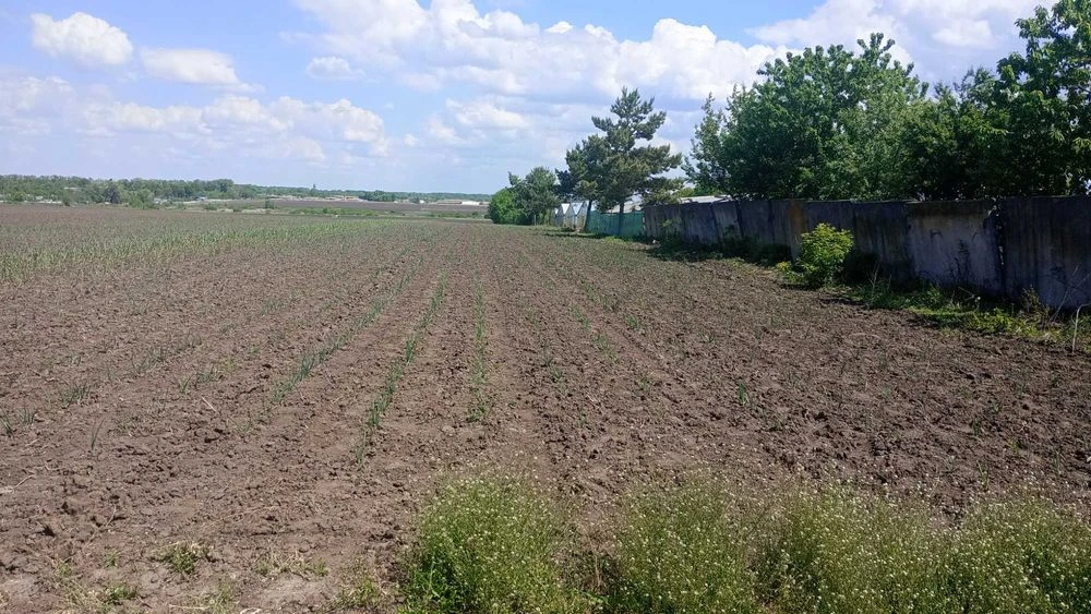 Продажа земельного участка