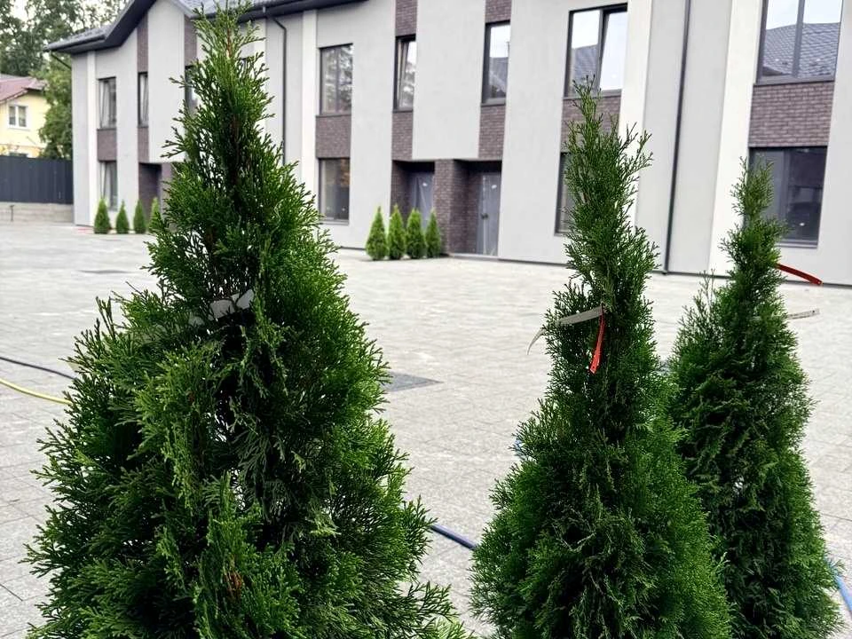 Дом. Ирпень, улица Виговского