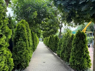 Дом. Ирпень, Лучшая улица