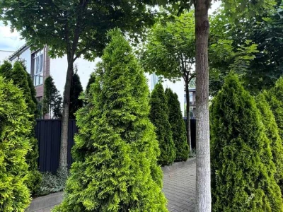 Дом. Ирпень, Лучшая улица