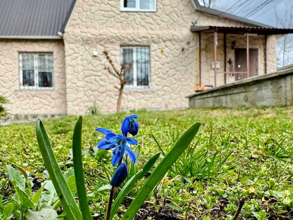 Будинок. Ірпінь, вулиця Академіка Ромодонова