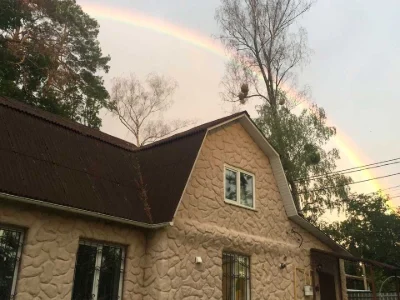 Будинок. Ірпінь, вулиця Академіка Ромодонова