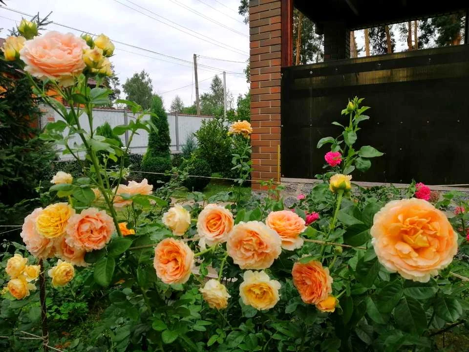 Будинок. Ірпінь, Богдана Хмельницького, вул.