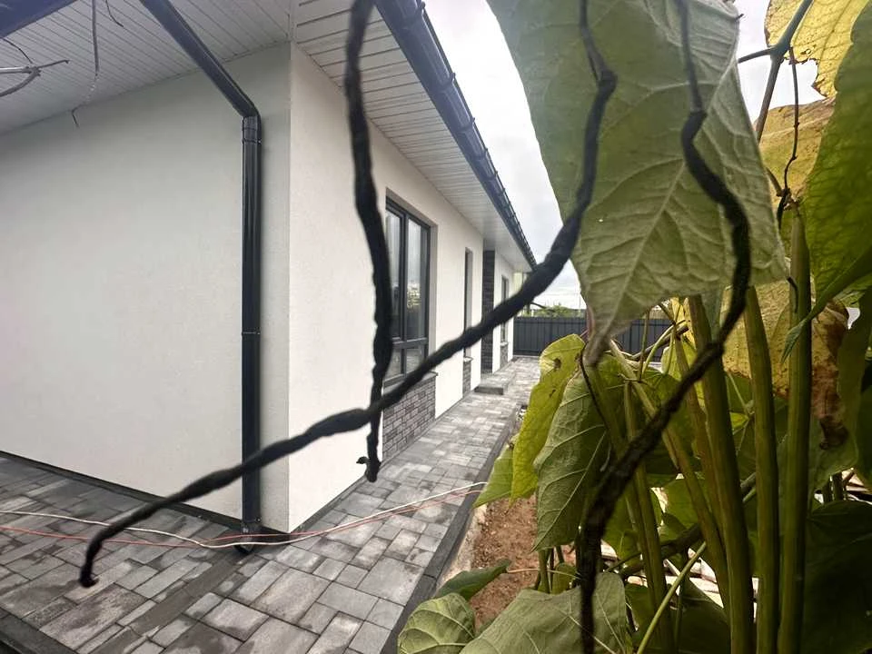 House. Irpin, Stepan Rudansky