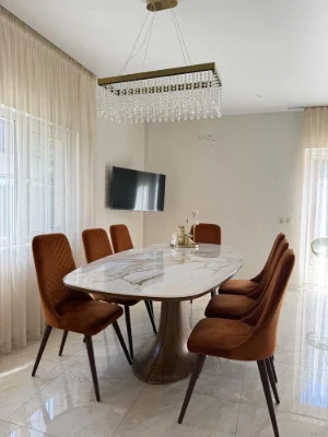 Продаж шикарний будинок на 120 м.кв. з ремонтом, двір 3 сотк
