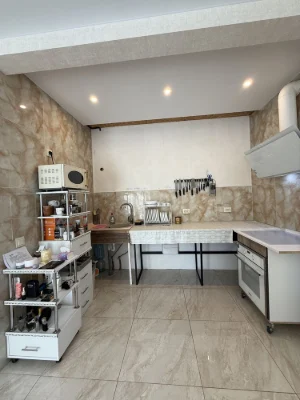 Продаж шикарний будинок на 120 м.кв. з ремонтом, двір 3 сотк