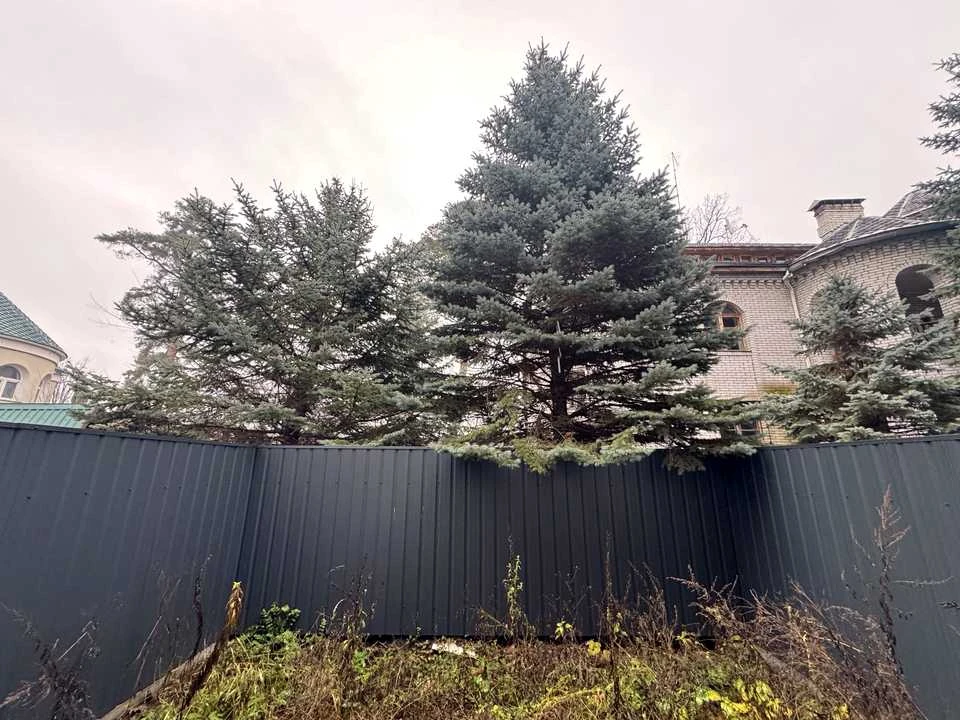 Будинок. Ірпінь, Ярославська вул.