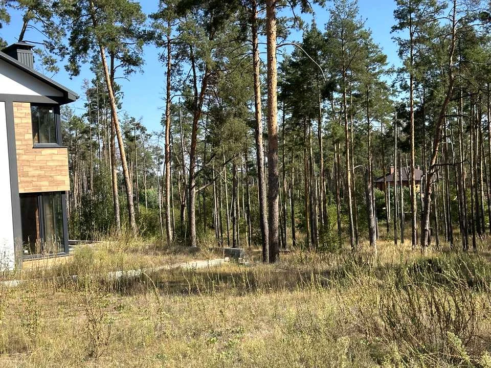 Будинок. Ірпінь, Лугова вул.