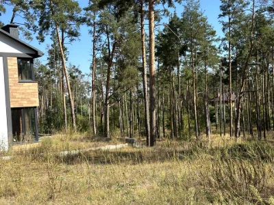 Будинок. Ірпінь, Лугова вул.