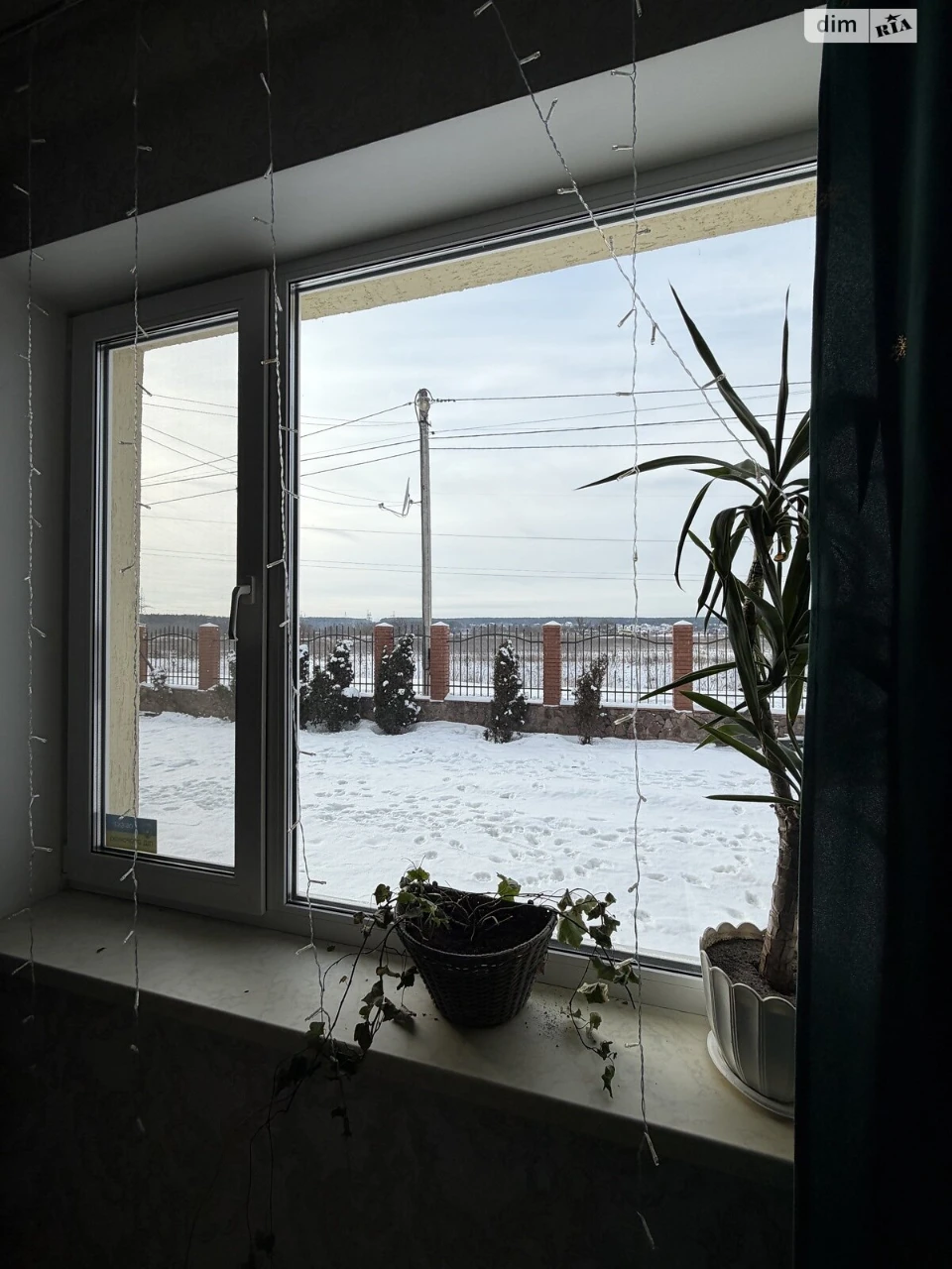 Продаж Дуплекс Романівка