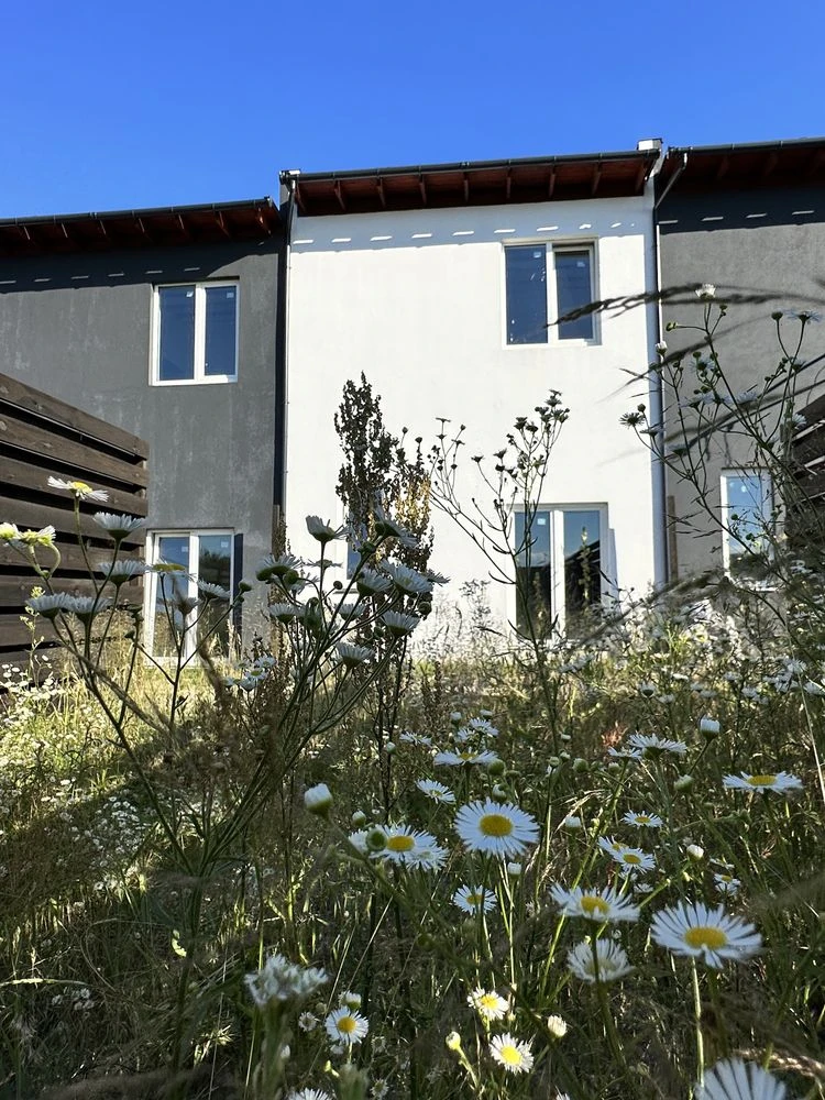Таунхаус по цене квартиры. Район Рич Тауна.