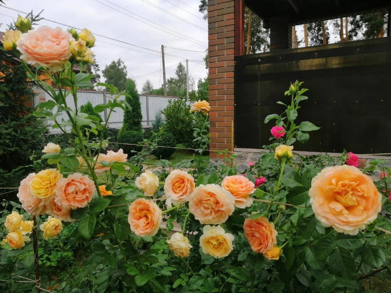 Ірпінь ,вул.Богдана Хмельницького ,13 сот ,ділиться на 2 діл