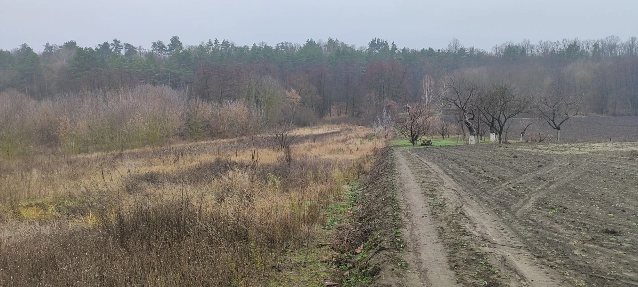 Будинок в лісі, година їзди до Києва