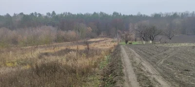 Будинок в лісі, година їзди до Києва
