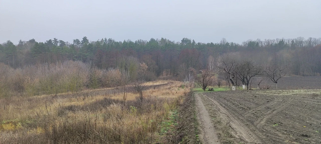 Будинок в лісі, година їзди до Києва