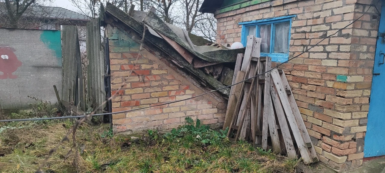 Будинок в лісі, година їзди до Києва