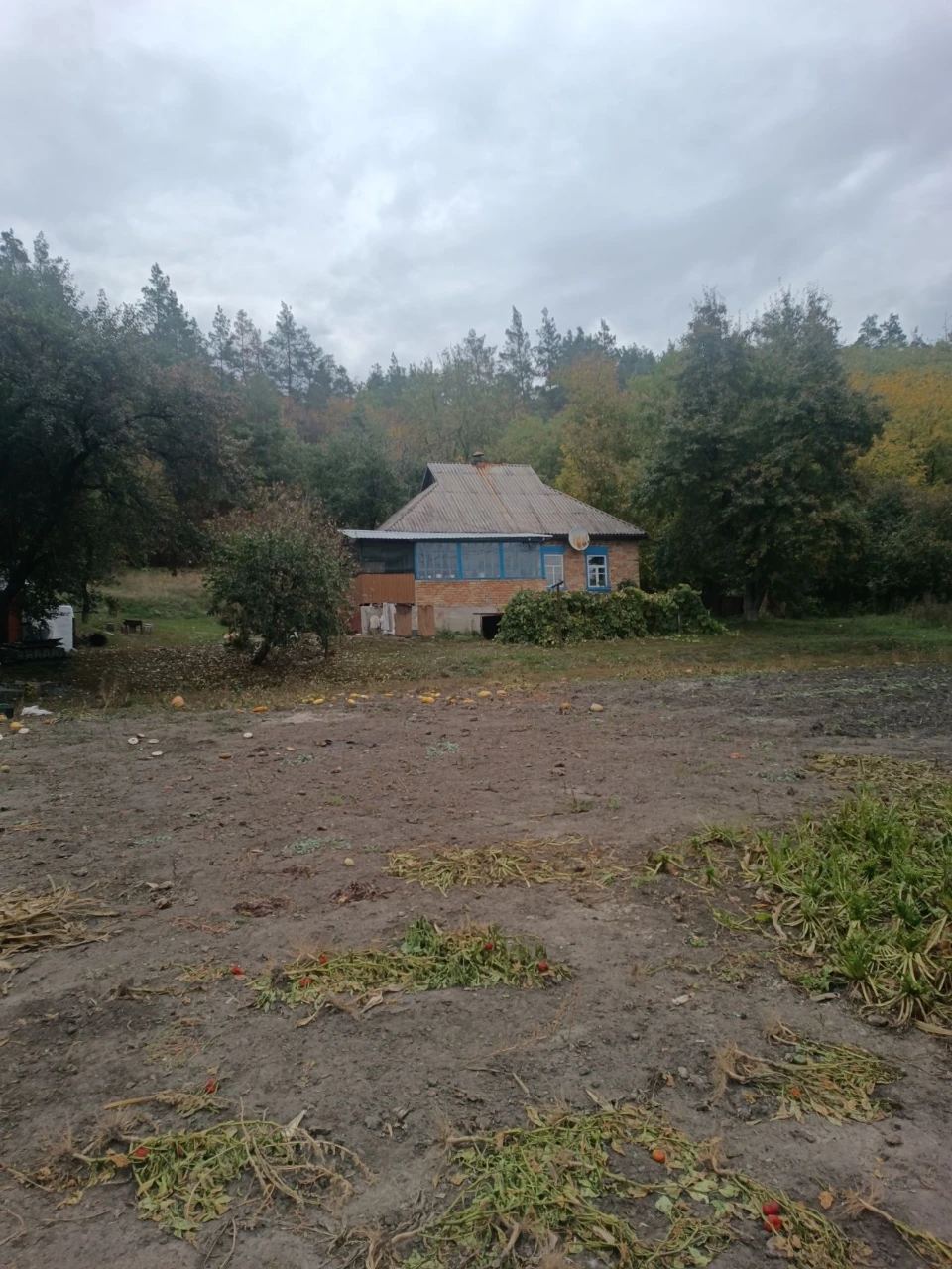 Будинок в тихому місці