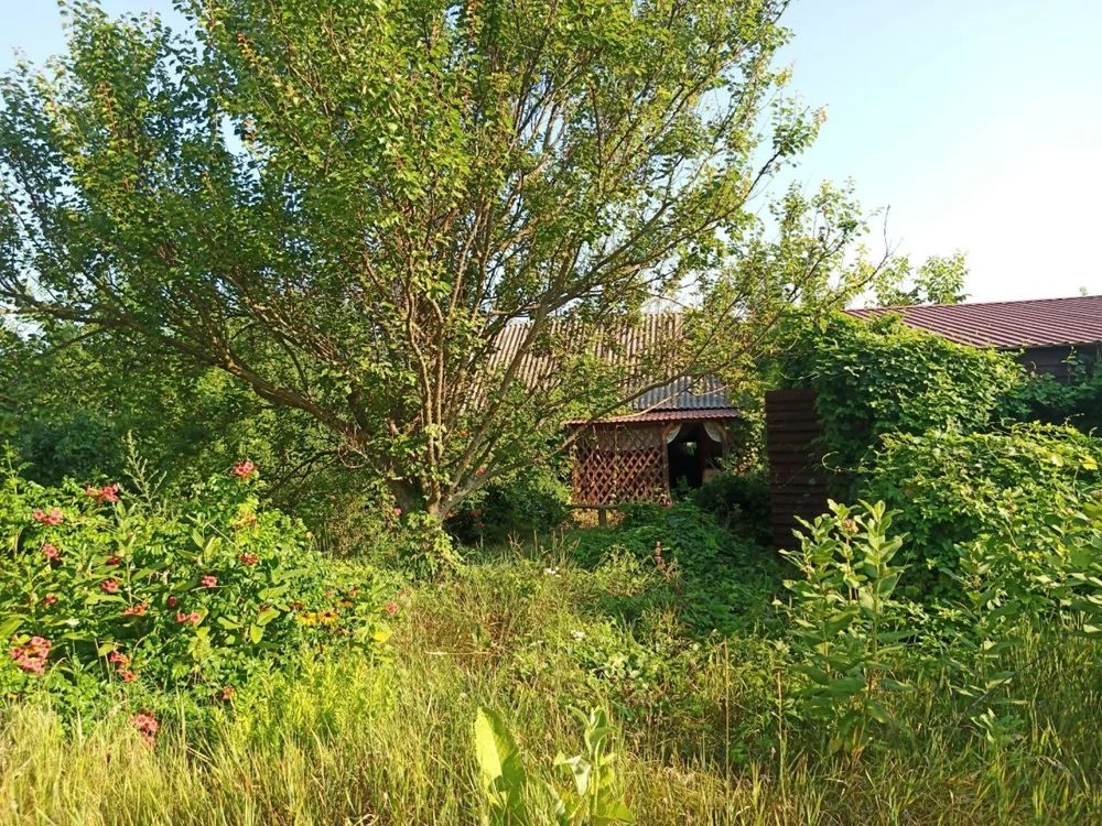Продам будинок( дачу) із ділянкою