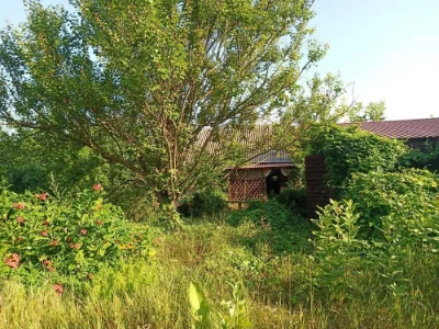 Продам будинок( дачу) із ділянкою