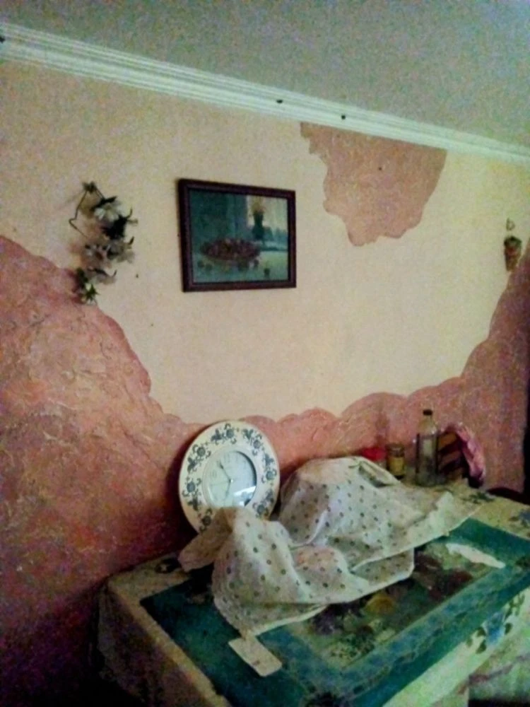 Продам будинок( дачу) із ділянкою