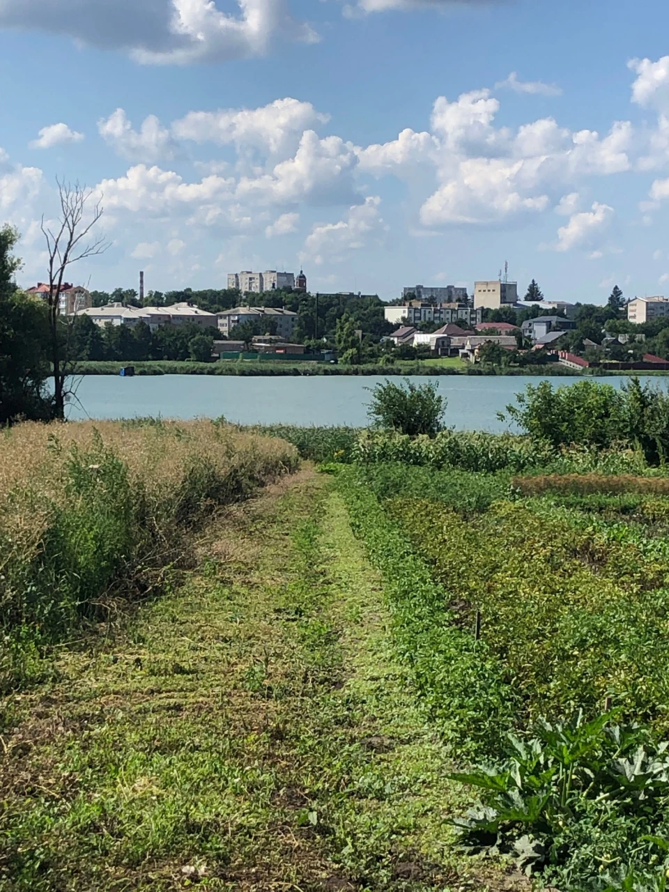 Продам будинок біля річки в м. Миронівка Обухівського району