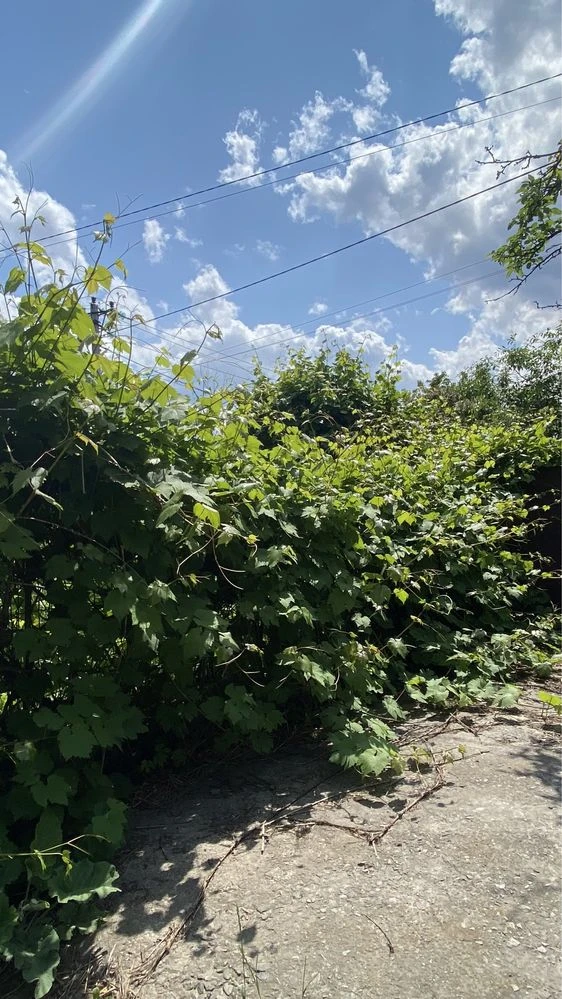 Будинок 102м2 на дві половини м. Обухів  - м. Київ  30км