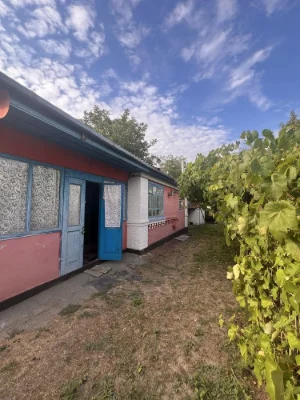 Продаж будинку у м. Сквира