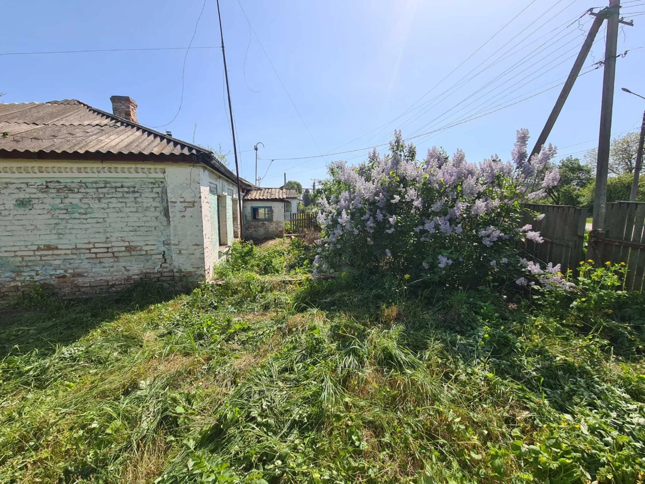 Продається будинок, в м.Сквира.