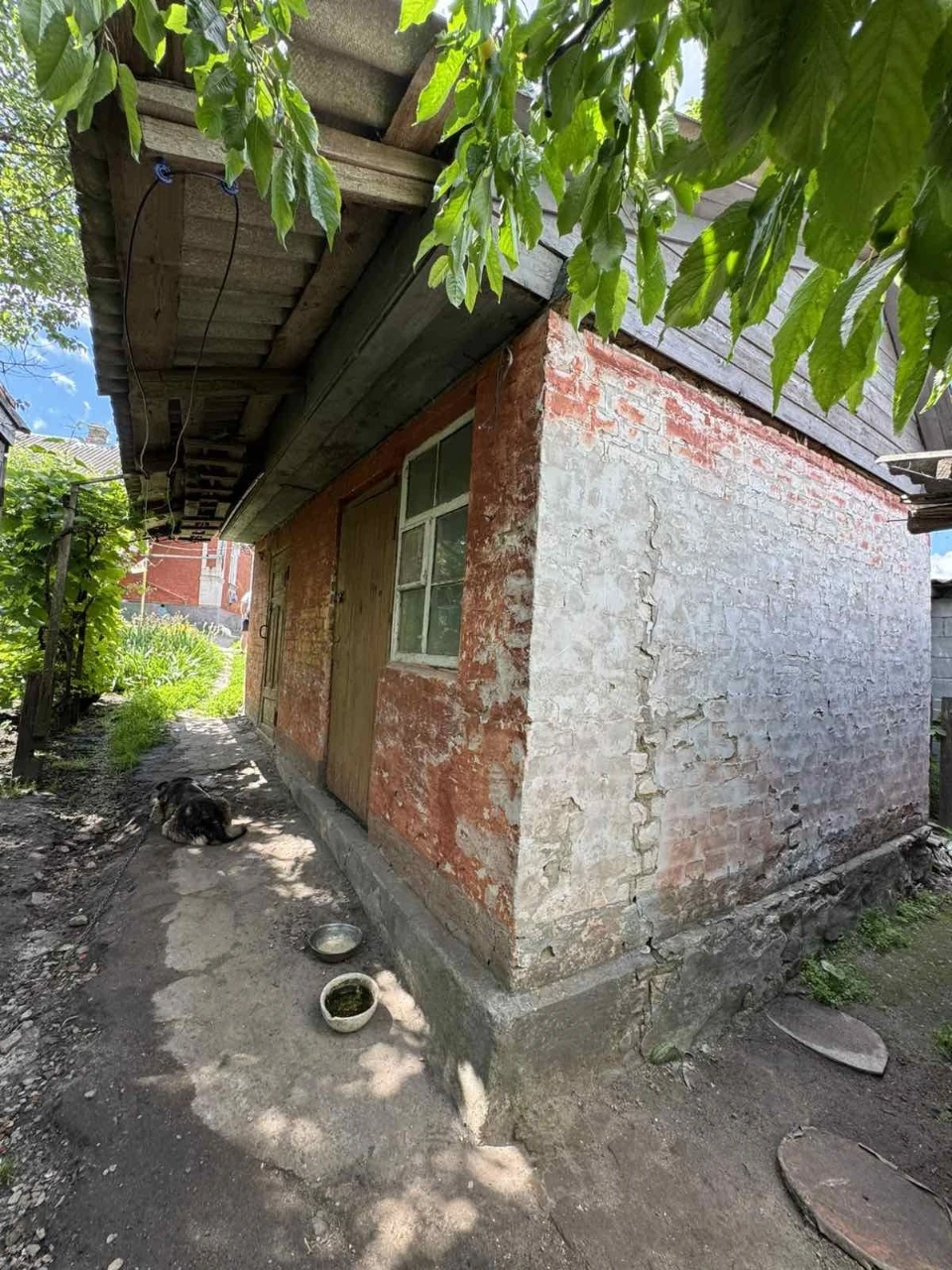 Продам будинок  у м. Сквира біля Ставка