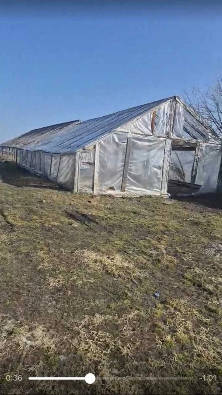 Дача біля Сквири але не в дачному кооперативі !