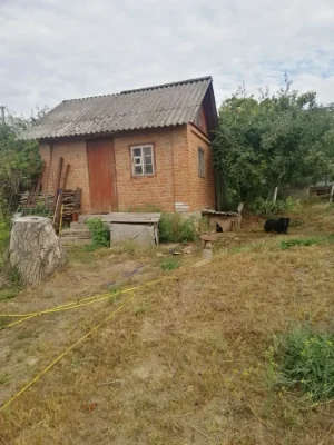 Продам старенький будинок із великою земельною ділянкою в за