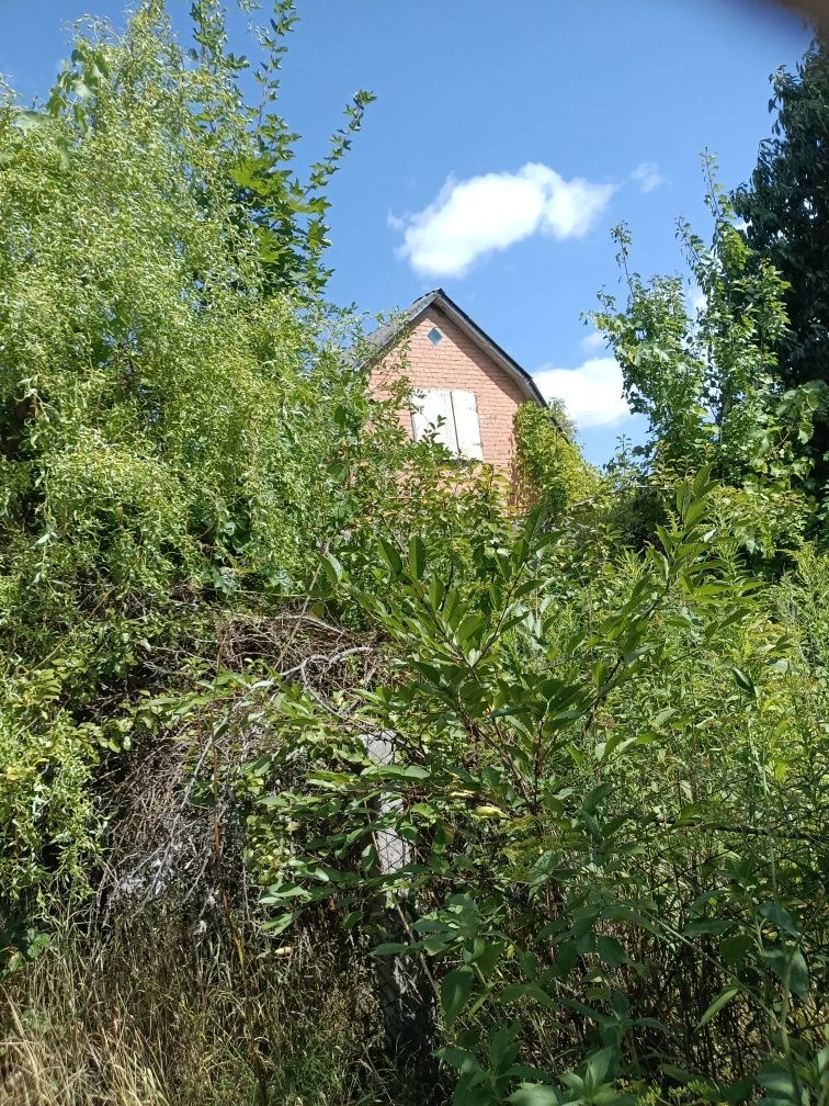 Продам жилий будинок біля лісу
