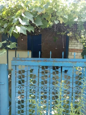 Продам жилий будинок біля лісу