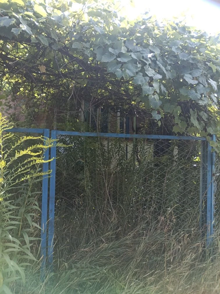 Продам жилий будинок біля лісу