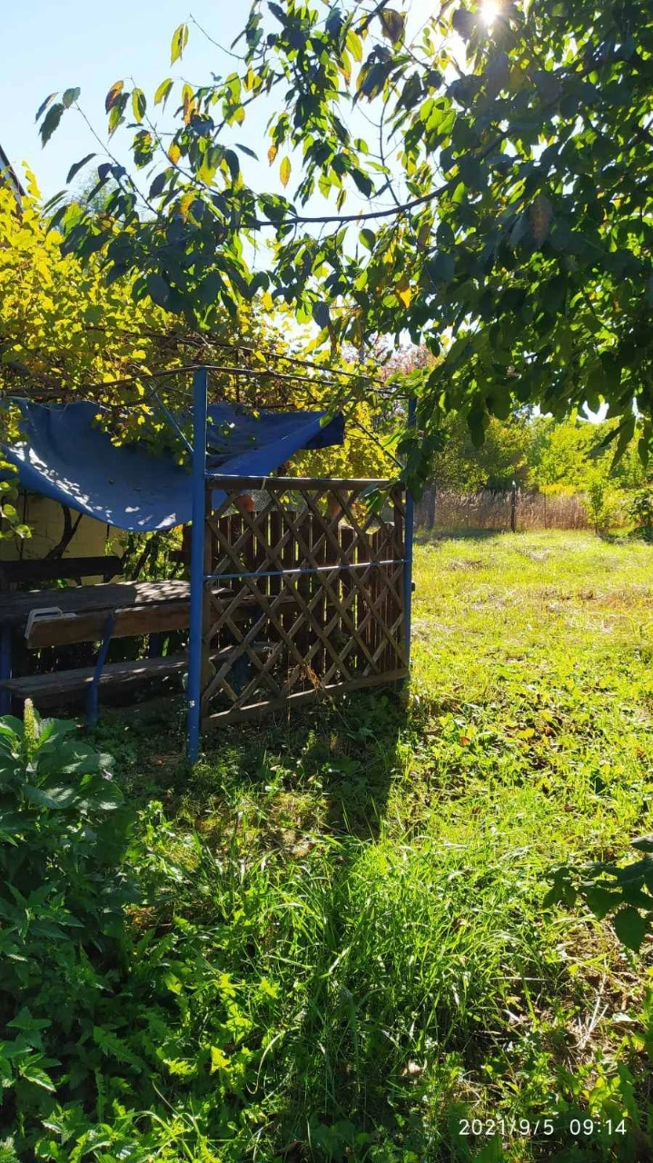 Продам жилий будинок біля лісу
