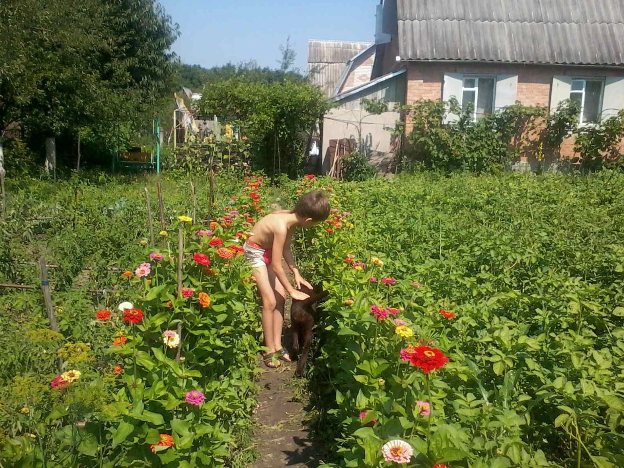 Продам жилий будинок біля лісу
