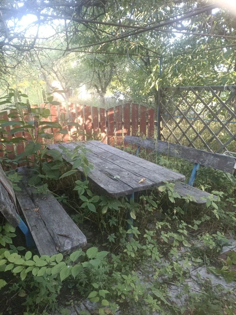 Продам жилий будинок біля лісу