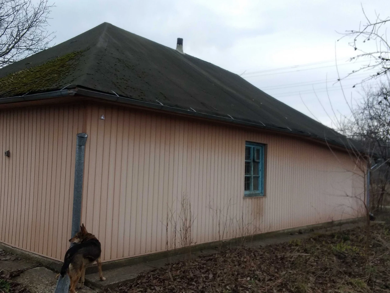 Будинок старенький, але доглянутий, 75 км від Київа (Фастівс