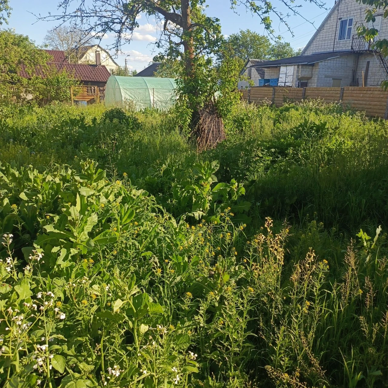 Продається великий будинок