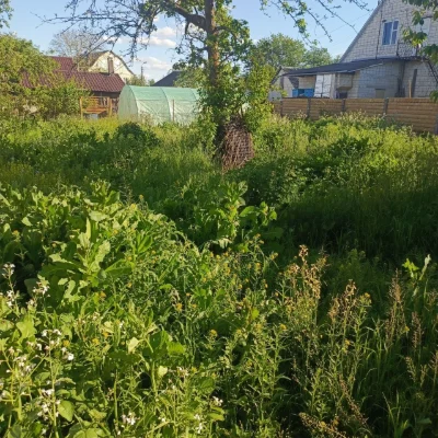 Продається великий будинок