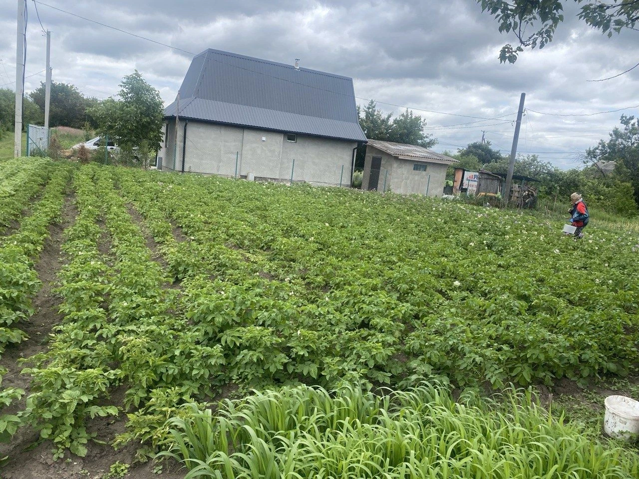 Продам будинок Фастів
