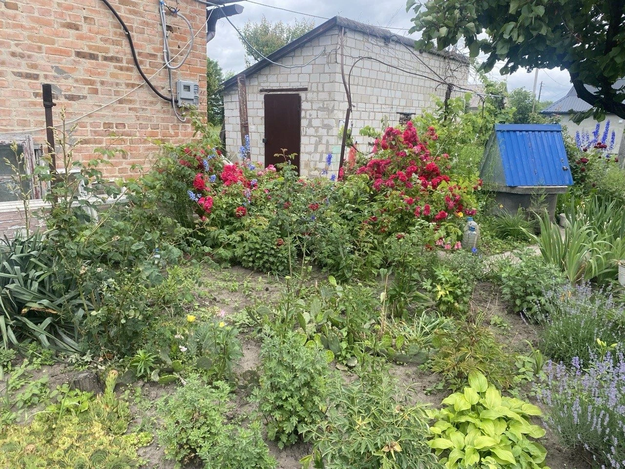 Продам будинок Фастів