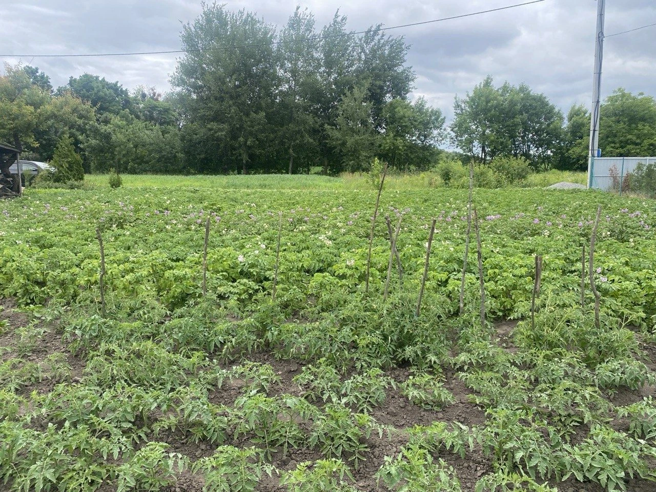 Продам будинок Фастів