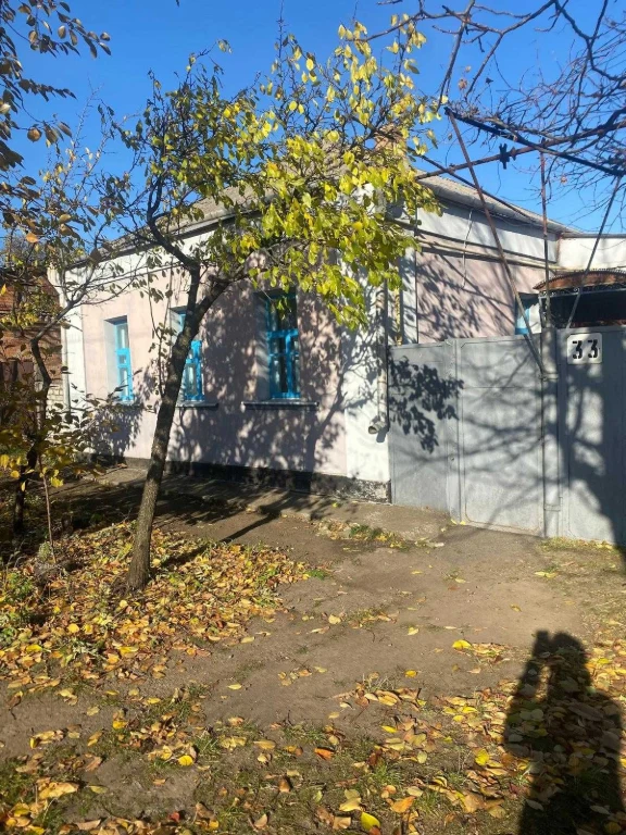 Приватний будинок в центрі м. Бобринець.
